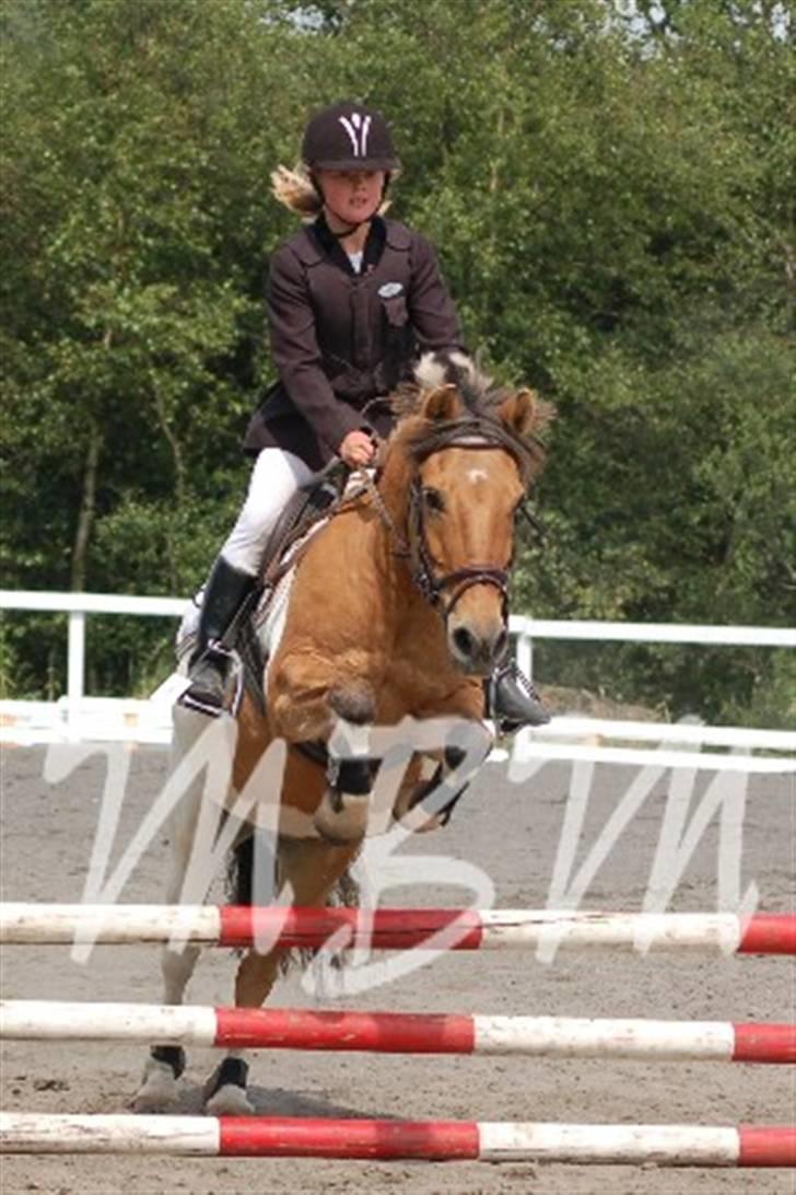 Anden særlig race Safir(Du er i mit hjert  - mig til stævne på smukke safir, 3. plads billede 1