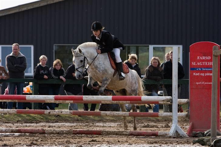 Anden særlig race Emil - Spring fra område mesteskab billede 12