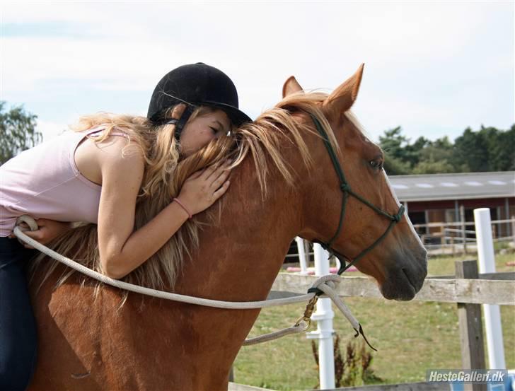 Anden særlig race Walk Of Fame *REST IN PEACE* - Fordi jeg elsker dig Foto: Vilsøe billede 2