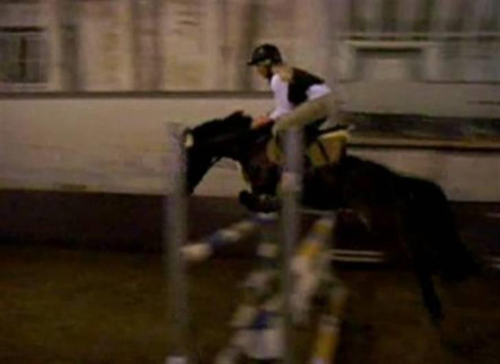 Anden særlig race Cherie * mit alt :'(* - LA med fyld  :D billede 8