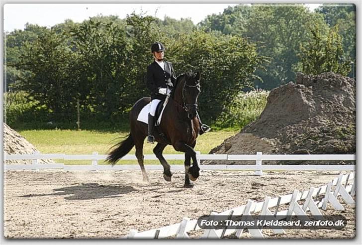 Frieser Umo af banegaarden R.I.P *1998-2011* - Frieser landstævne. billede 11