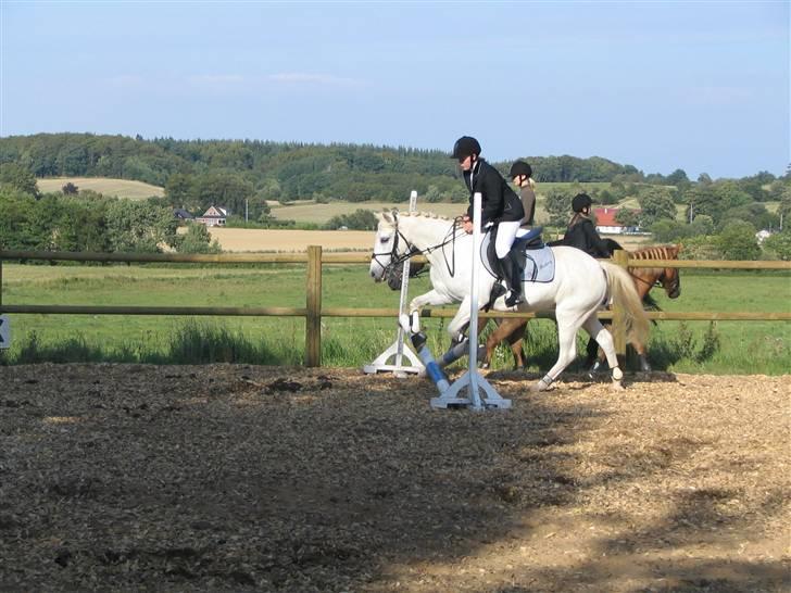 Anden særlig race Andrea - Andrea og mig i clearround :) billede 2