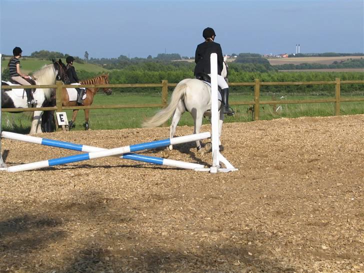 Anden særlig race Andrea - Andrea og mig, Dalvang ´07 billede 3