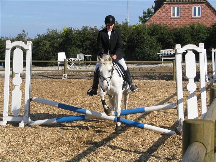 Anden særlig race Andrea - Andrea og mig, Dalvang ´07 billede 4