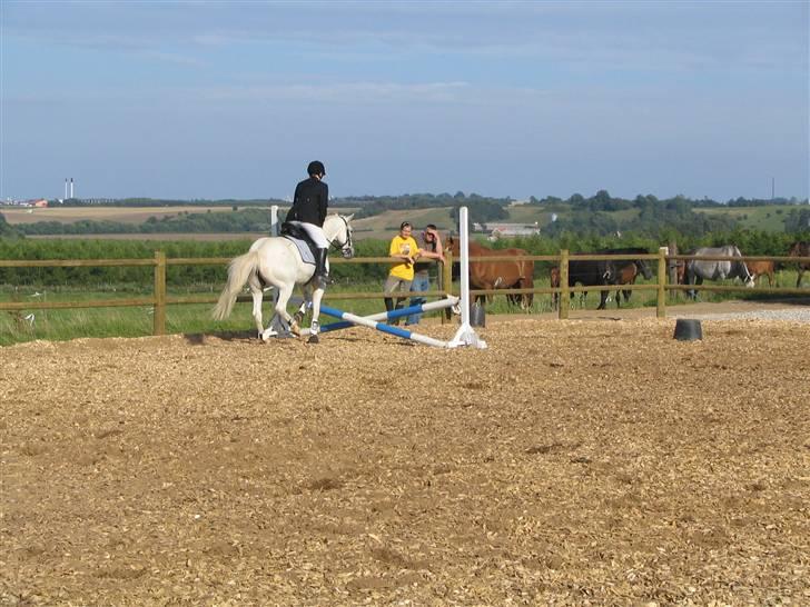 Anden særlig race Andrea - Andrea og mig, Dalvang ´07 billede 5