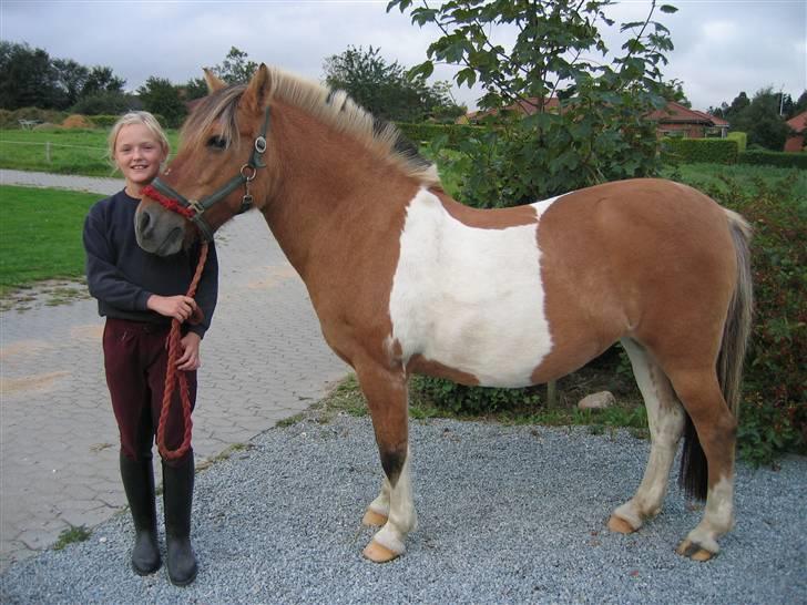 Anden særlig race Safir(Du er i mit hjert  - her står hun så.. billede 9