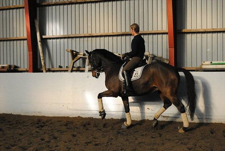 Holstener proud daylight*SOLGT :'(* - og her begynder hun rider rundt om banen.<3 billede 2