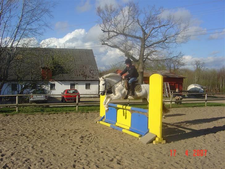 Connemara pilgaard`s silver stone  - Over svenskeren! billede 8