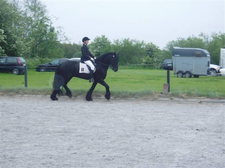 Frieser Andries V. P. - LB2 .. (2006, forår) billede 7