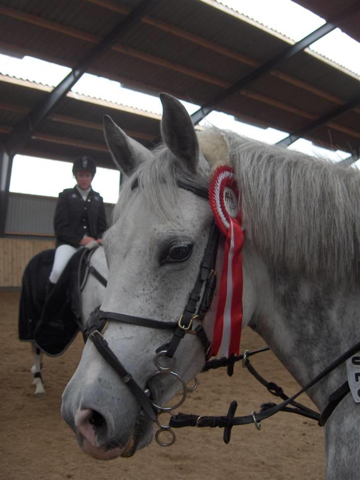 DSP Madeleine<3 - :-* billede 10