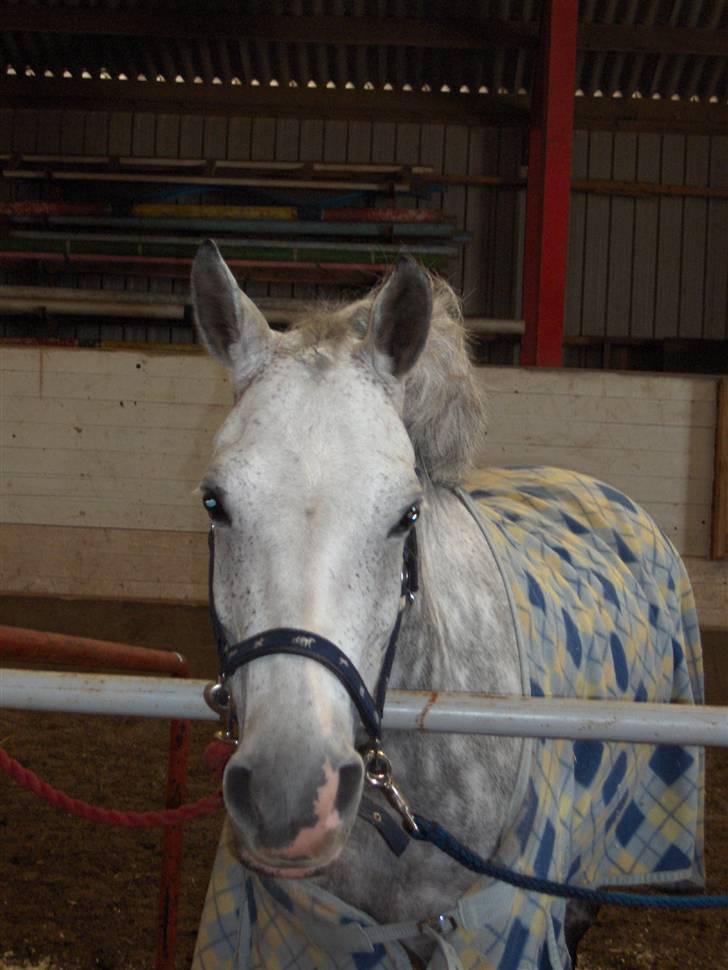 DSP Madeleine<3 - <3 billede 12