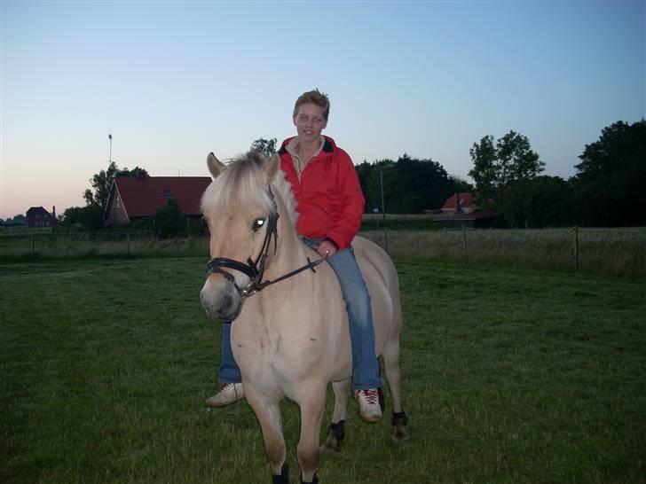 Fjordhest Brunsminde´s Frej  - Wee mor må ride mig igen efter nogle måneders pause!!! billede 7