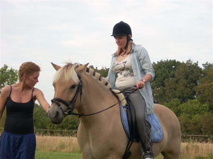 Fjordhest Brunsminde´s Frej  - Her er jeg med stefanie som prøver at ride mig for 1. gang billede 8