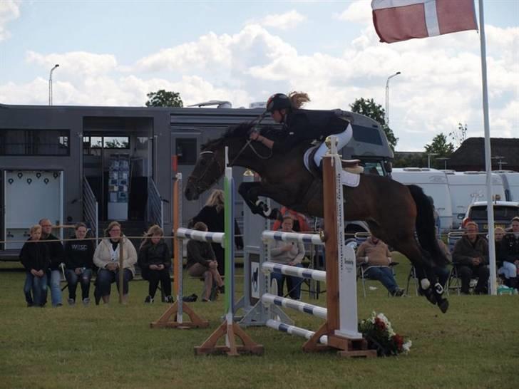 Anden særlig race Star-light. - Til DM for hold, 115 klasse. hun sprang fantastisk! Her på1eren (: To bomme, udelukkende mine fejl, sorry min. Foto; Nina Guldager. billede 2
