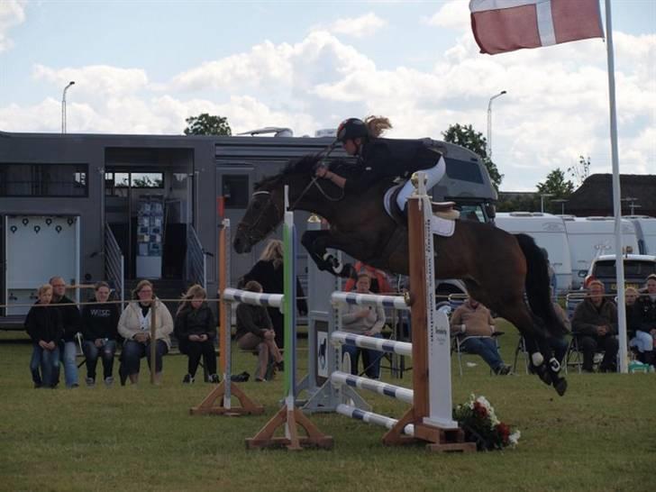 Anden særlig race Star-light. - Til DM for hold, 115 klasse. hun sprang fantastisk! Her på1eren (: To bomme, udelukkende mine fejl, sorry min. Foto; Nina Guldager. billede 2