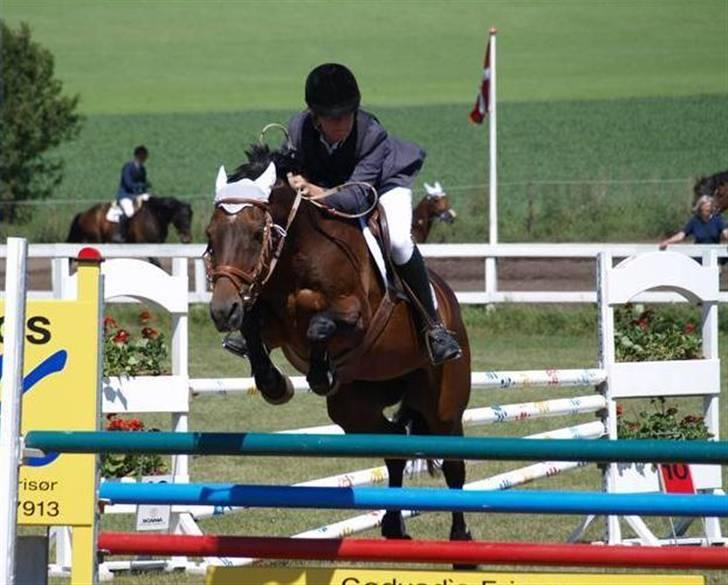 Anden særlig race Star-light. - På SPS i Mb, du mere end bedst skat! Foto; Kimie Dehn. billede 4