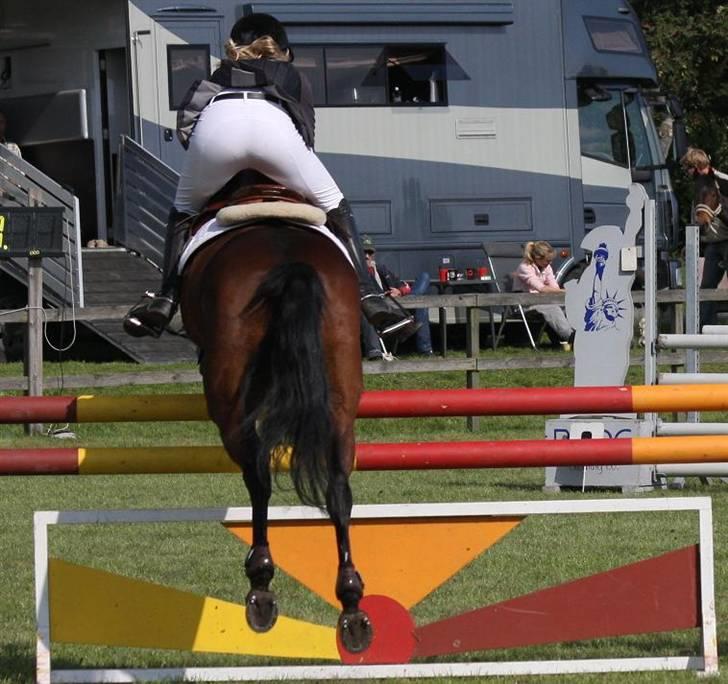 Anden særlig race Star-light. - LÆKEKR RØV :D  Til distriktmester, hvor vi vandt. Du perfekt! Foto; Thea Krogh (Jeg har beskæret) billede 5
