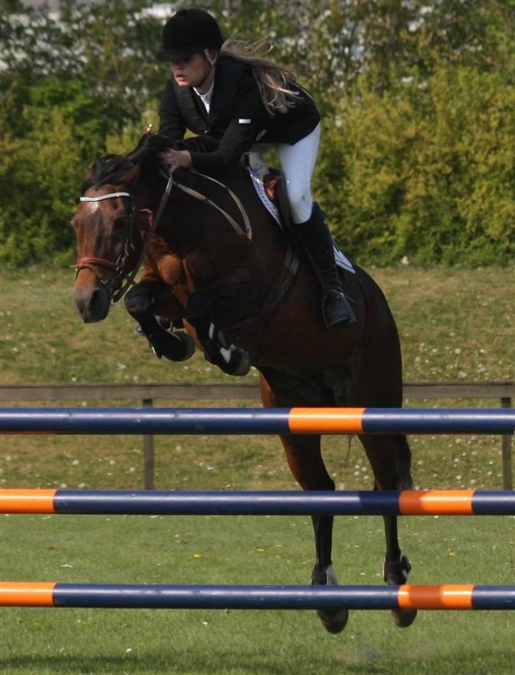 Anden særlig race Star-light. - Nummer to i denne Mb, fejlfri. Ikast 09. Omg, du lækker! Foto; Malene Friis<33 billede 6