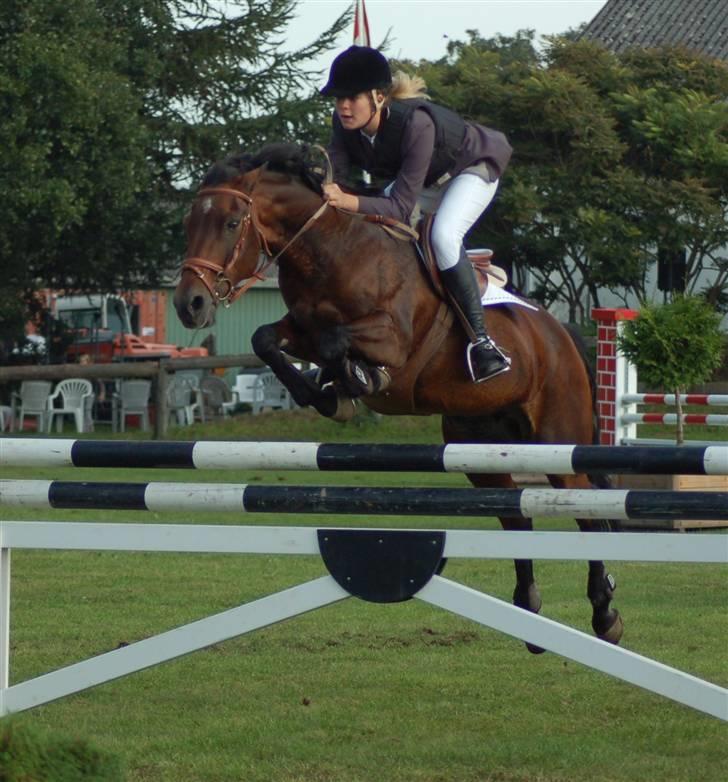 Anden særlig race Star-light. - Kallehavegård 09, i Mb. 7 plads,  B-stævne, fejlfri ;D  JEGELSKERDIG! Foto; Tia Lundemose. billede 18
