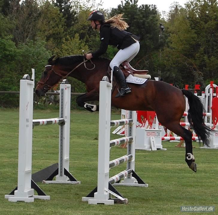 Anden særlig race Star-light. - PERFEKT landsstævne på Stevnstrup 09, i en MA - Gaard jeg synes det var højt, men du var stjerne og vi fik en mere end perfekt tur, med en enkel bom :D  Foto; Sandra Wanner. billede 19