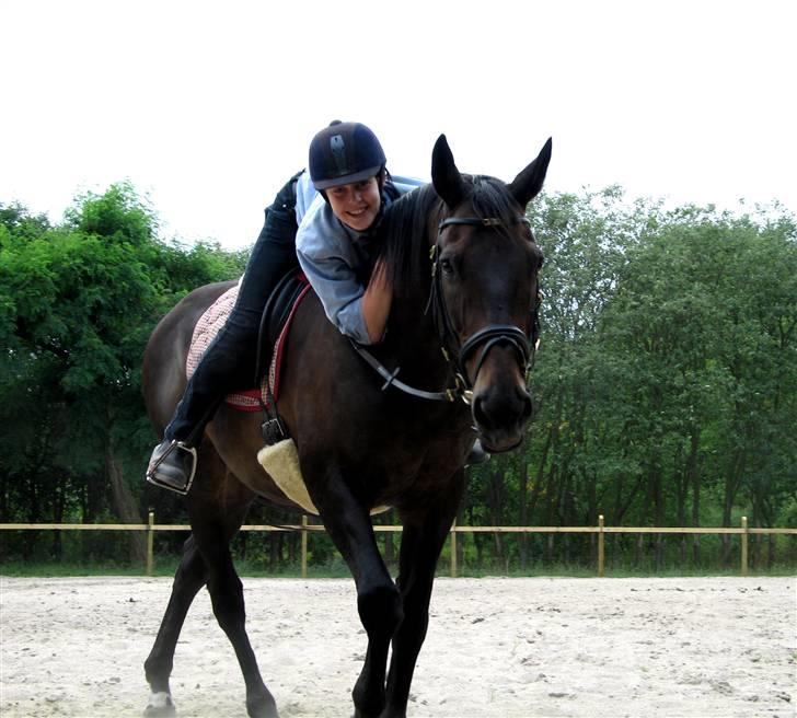 Dansk Varmblod *Kildegårdens Barton* sov stil ind den 19.dec 2011 - Mig og barton på en af sommers varmeste dage  billede 1