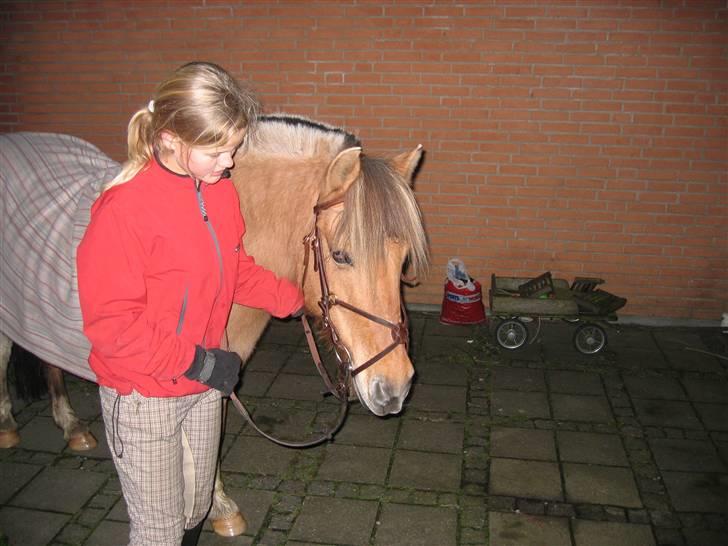 Anden særlig race Safir(Du er i mit hjert  billede 11