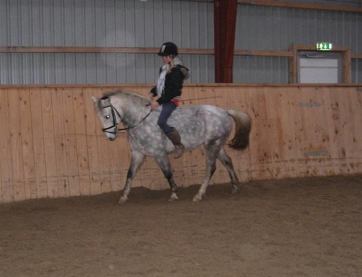 Anden særlig race Rositta. Solgt 2008, aflivet 2011 :-( - pretty sittamus. billede 11