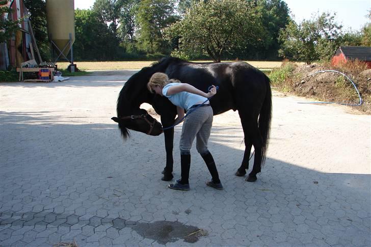 Tysk Sportspony Raket - Er jeg ikke bare Dygtigt?? (: billede 4