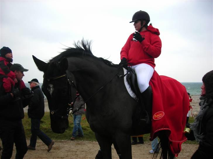 Trakehner Knobelsdorff - hubertusjagt moesgaard 2009 billede 3