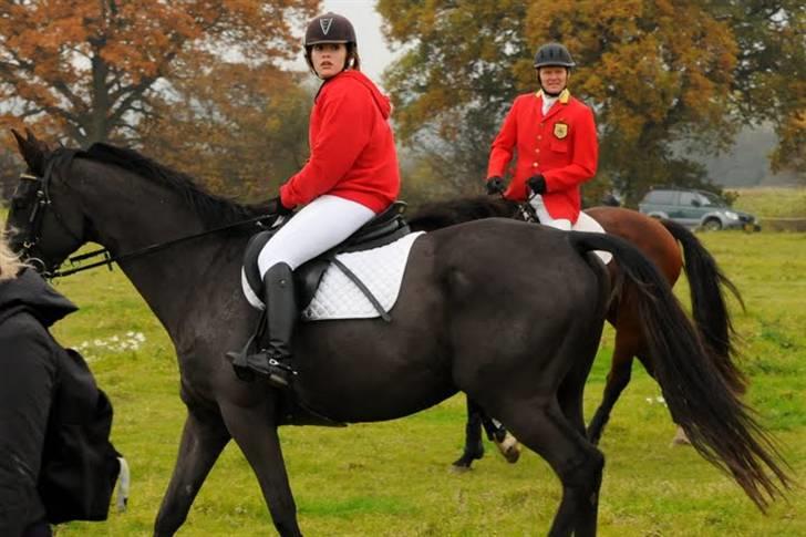 Trakehner Knobelsdorff - hubertusjagt moesgaard 2009 billede 5