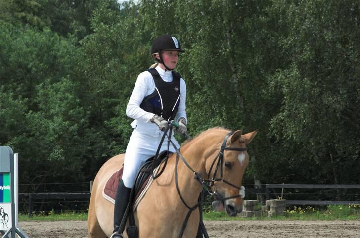 Anden særlig race Madonna :) R.I.P <3  - er lige blevet færdig med en felj fri runde( spring ) billede 19