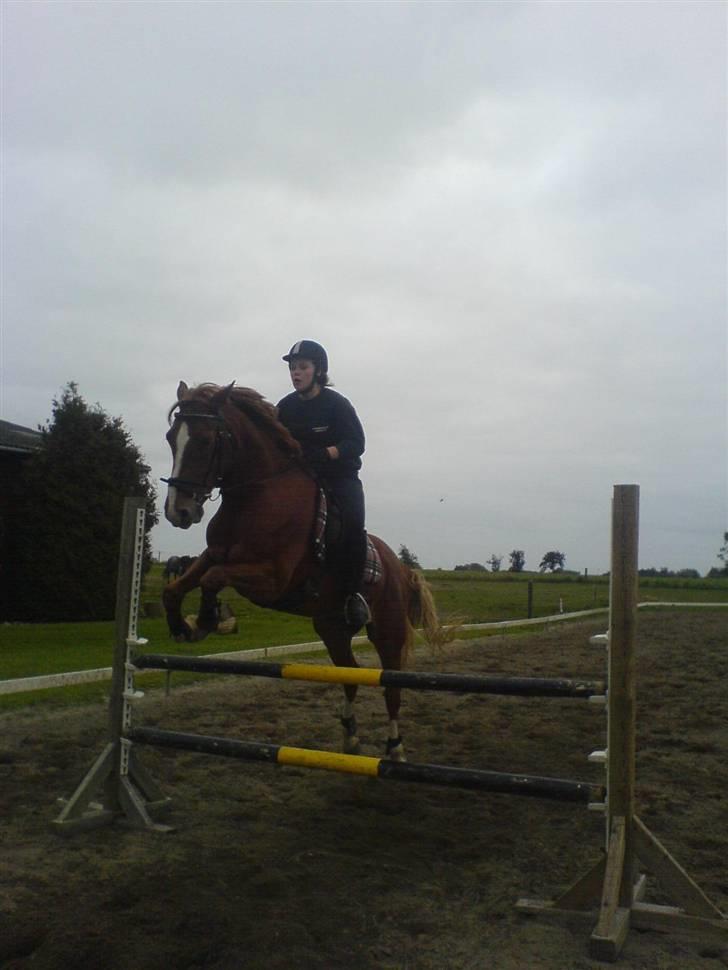 Anden særlig race \\Romeo - SOLGT ! - Mig og Romeo der springer :D billede 13