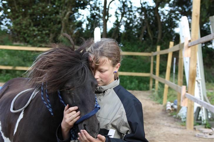 Shetlænder Ferrari  - D. 30 juli 2009. Igen jordtræning. Ferrari? Du betyder ufatteligt meget! <3 billede 8