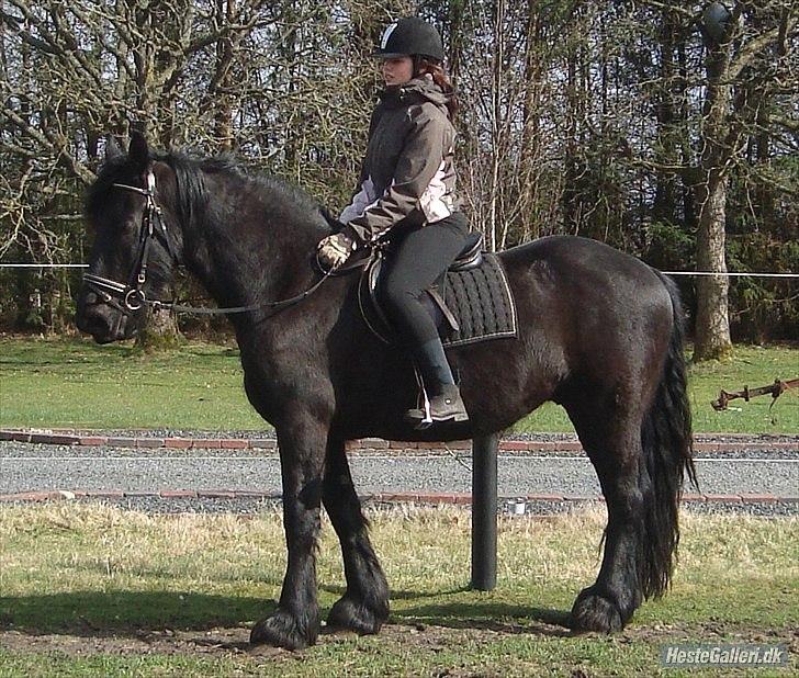 Frieser Faust - April 2011 billede 14