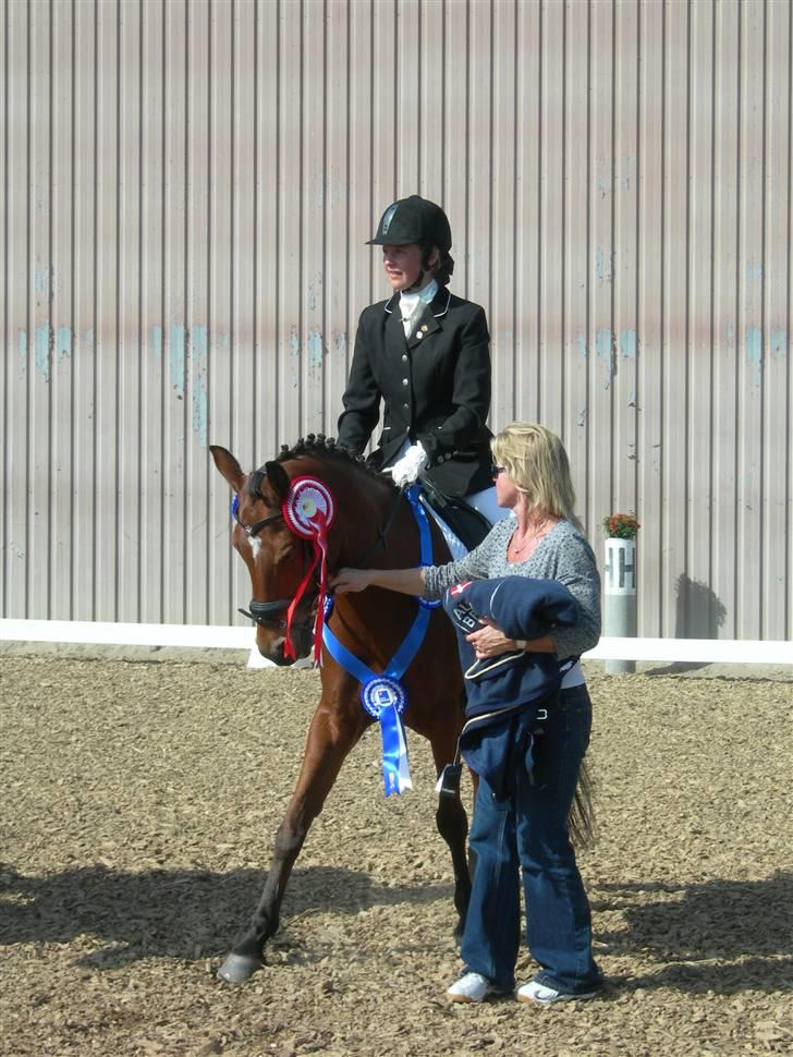 Tysk Sportspony Darling 179 solgt:'S - 4 darling og mig vinder af sjællandsmesterskab hold 2008:) darling og mig var dem der red til højest af alle der red hold klassen:) billede 4