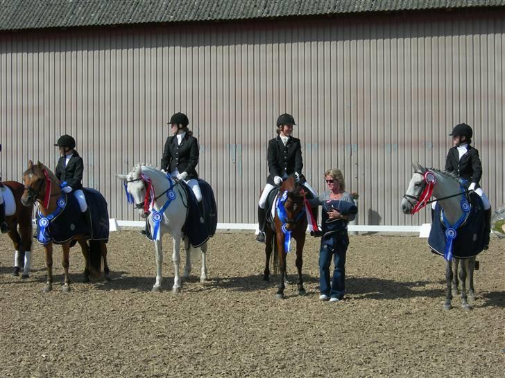 Tysk Sportspony Darling 179 solgt:'S - 13 vinderne fra sjællandsmesterskab hold 2008:) fra venstre: Helena-flower girl, Emilie -chanel(lånte en anden hest til præmie overrækkelse), Mig og darling(min mor holdte hende lige da hun kan blive vild), Laura-martan billede 13