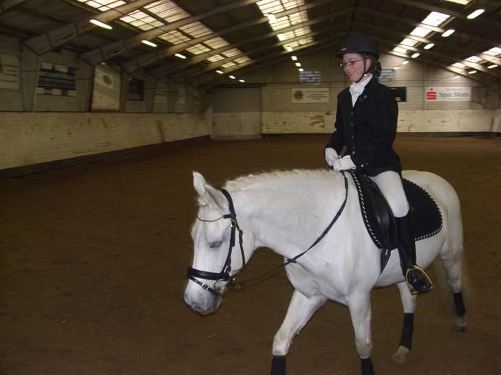 New Forest Odbjergs Pikant <3SOLGT:( - Stævne d. 1 marts fik en første plads...! :-) billede 14