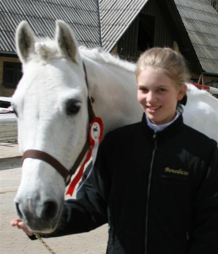 New Forest Odbjergs Pikant <3SOLGT:( - Vores første stævne sammen og vi fik en 1. plads i LE m/diktat. billede 15