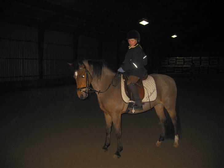 New Forest Malou - Første gang jeg prøver Malou inden jeg køber hende billede 1