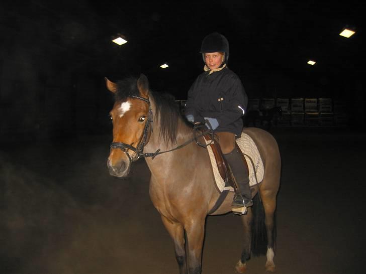 New Forest Malou - Også fra første gang jeg prøver hende billede 2