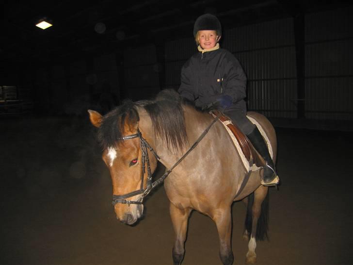 New Forest Malou - Min lillesøster som jeg deler Malou med billede 3