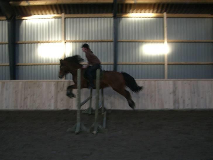 Anden særlig race Tordenskjold *Buller-basse* - vi kan flyve hehe billede 11