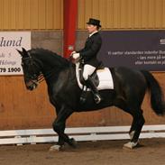 Oldenborg Max af Østerholm (RIP)