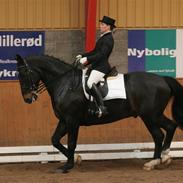 Oldenborg Max af Østerholm (RIP)