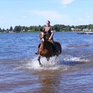 Anden særlig race Caunt Sunshine... Mit et og alt <3