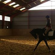 Anden særlig race Janna