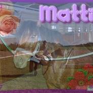 DSP Mattis