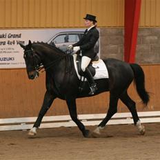 Oldenborg Max af Østerholm (RIP)