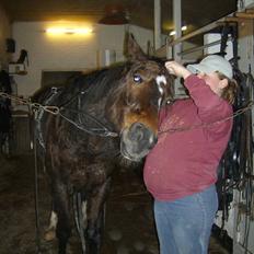 Traver Morassi (S) *Bortgivet til min veninde Karina*