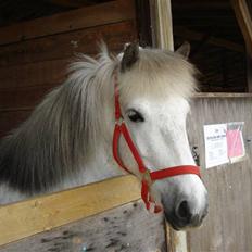 Islænder embla f. Lundegaard